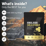 Load image into Gallery viewer, Gummies Shilajit Himalayen
